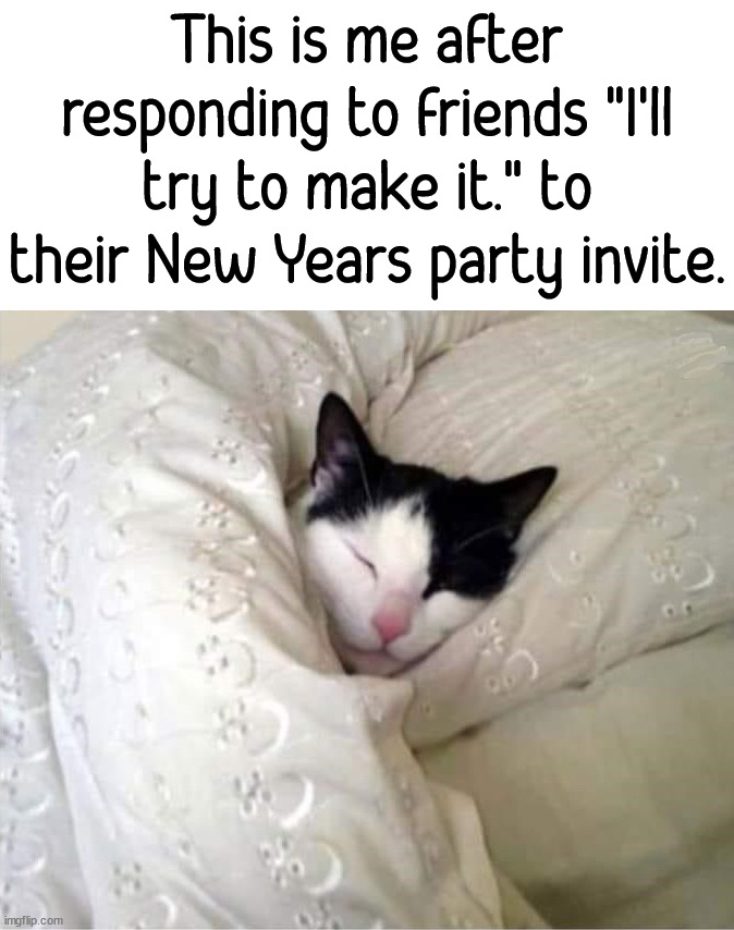 Have a Happy New Years celebration. | This is me after responding to friends "I'll try to make it." to their New Years party invite. | image tagged in happy new year,don't drink and drive | made w/ Imgflip meme maker