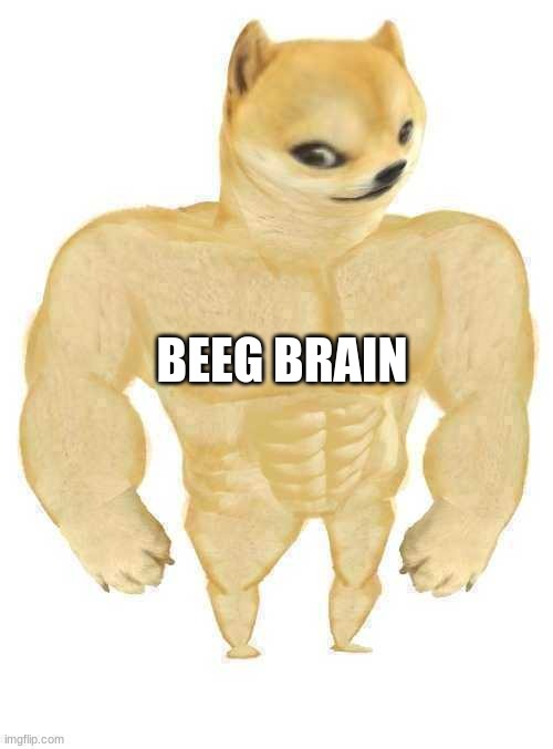 BEEG BRAIN | image tagged in yeah this is big brain time,big brain,big brain time | made w/ Imgflip meme maker