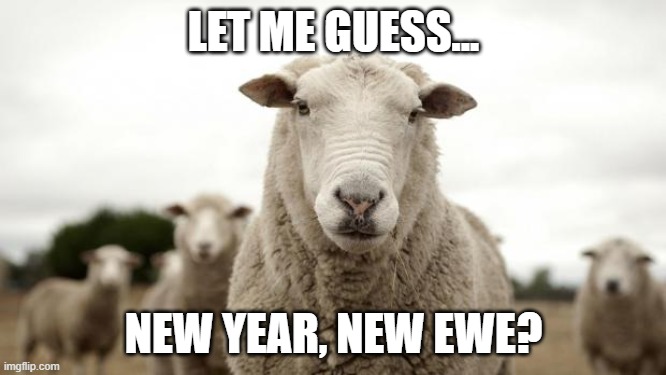 New Year, New Ewe |  LET ME GUESS... NEW YEAR, NEW EWE? | image tagged in sheep | made w/ Imgflip meme maker
