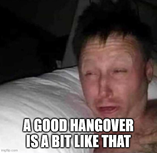 Sleepy guy | A GOOD HANGOVER IS A BIT LIKE THAT | image tagged in sleepy guy | made w/ Imgflip meme maker