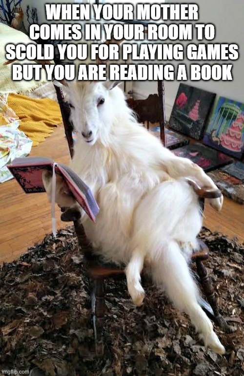 true | WHEN YOUR MOTHER COMES IN YOUR ROOM TO SCOLD YOU FOR PLAYING GAMES BUT YOU ARE READING A BOOK | image tagged in goat reading a book | made w/ Imgflip meme maker