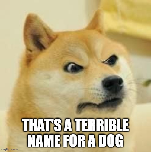 angry doge | THAT'S A TERRIBLE NAME FOR A DOG | image tagged in angry doge | made w/ Imgflip meme maker
