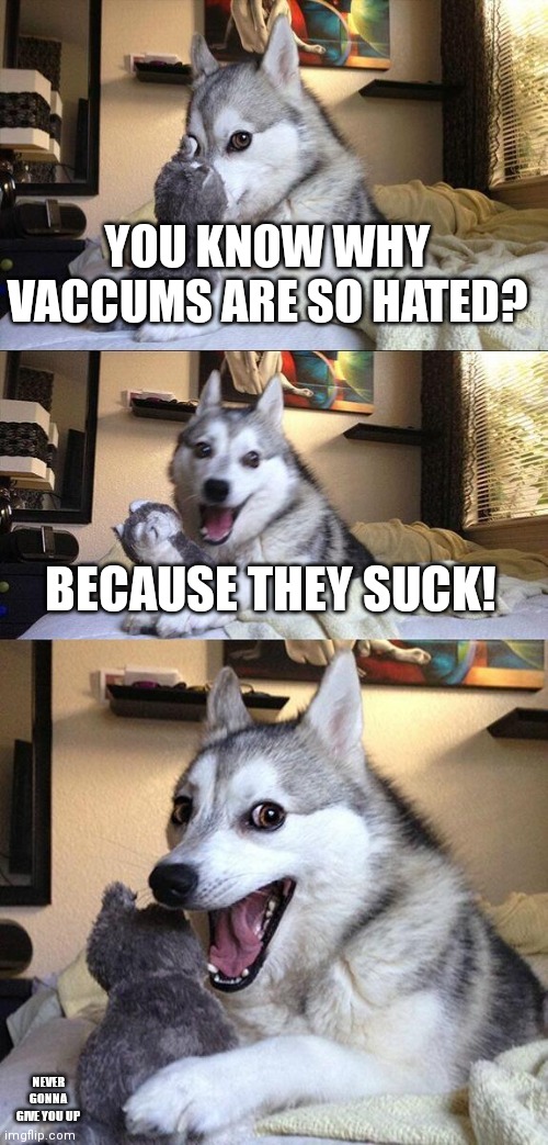 Don't look at the watermark | YOU KNOW WHY VACCUMS ARE SO HATED? BECAUSE THEY SUCK! NEVER GONNA GIVE YOU UP | image tagged in memes,bad pun dog | made w/ Imgflip meme maker
