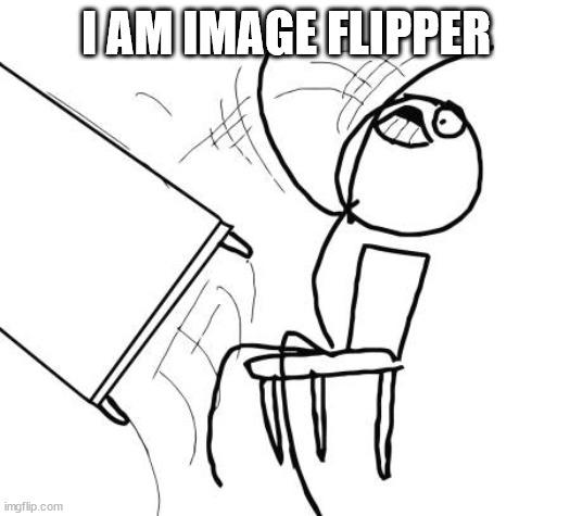 Table Flip Guy Meme | I AM IMAGE FLIPPER | image tagged in memes,table flip guy | made w/ Imgflip meme maker