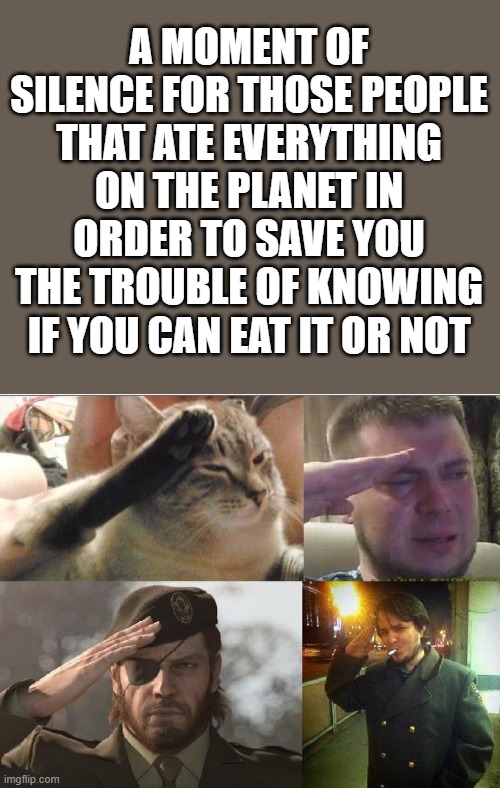 May your stomachs rest in peace. | A MOMENT OF SILENCE FOR THOSE PEOPLE THAT ATE EVERYTHING ON THE PLANET IN ORDER TO SAVE YOU THE TROUBLE OF KNOWING IF YOU CAN EAT IT OR NOT | image tagged in ozon's salute,memes,funny,a moment of silence,wow you're reading the tangs | made w/ Imgflip meme maker