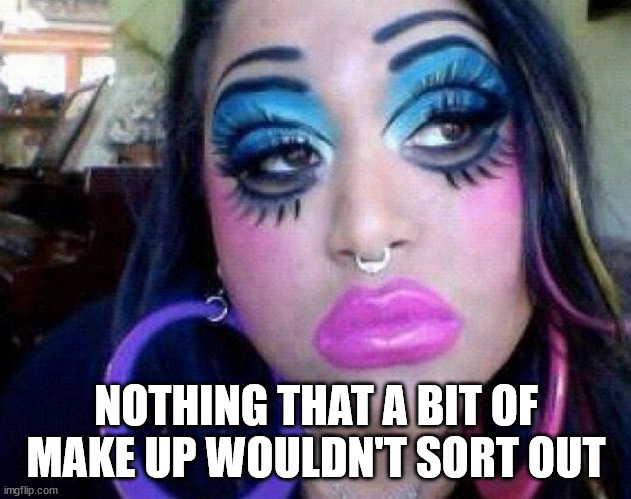 bad make up | NOTHING THAT A BIT OF MAKE UP WOULDN'T SORT OUT | image tagged in bad make up | made w/ Imgflip meme maker