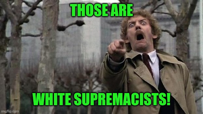 invasion of the body snatchers | THOSE ARE WHITE SUPREMACISTS! | image tagged in invasion of the body snatchers | made w/ Imgflip meme maker