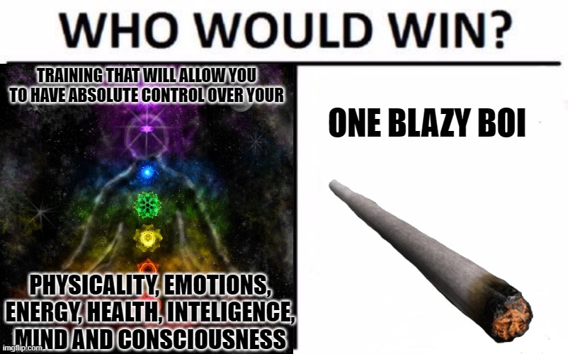 Hmmmmmmmm | TRAINING THAT WILL ALLOW YOU TO HAVE ABSOLUTE CONTROL OVER YOUR; ONE BLAZY BOI; PHYSICALITY, EMOTIONS, ENERGY, HEALTH, INTELIGENCE, MIND AND CONSCIOUSNESS | image tagged in chakra,memes,funny,weed | made w/ Imgflip meme maker