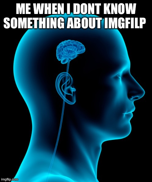 Tell me everything about imgfilp that u know | ME WHEN I DONT KNOW SOMETHING ABOUT IMGFILP | image tagged in small brain | made w/ Imgflip meme maker