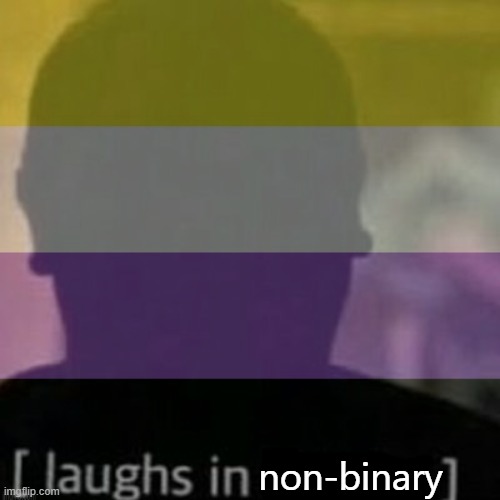 non-binary | made w/ Imgflip meme maker