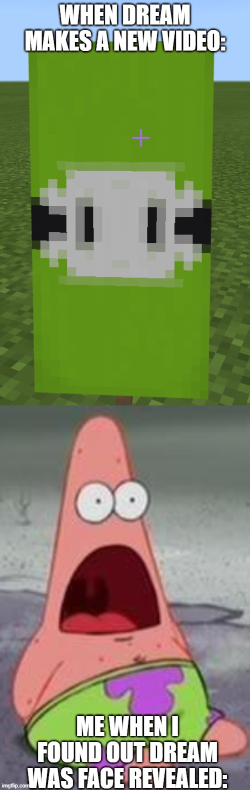 Dream is real | WHEN DREAM MAKES A NEW VIDEO:; ME WHEN I FOUND OUT DREAM WAS FACE REVEALED: | image tagged in dream in minecraft,suprised patrick | made w/ Imgflip meme maker