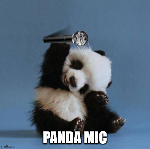 Panda | PANDA MIC | image tagged in panda | made w/ Imgflip meme maker