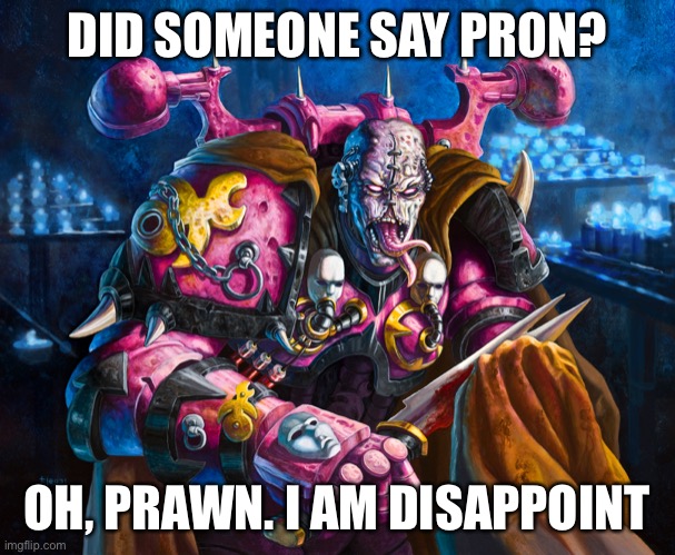 Pron prawn | DID SOMEONE SAY PR0N? OH, PRAWN. I AM DISAPPOINT | image tagged in space marine corrupted by slaanesh,40k,slaanesh,chaos | made w/ Imgflip meme maker