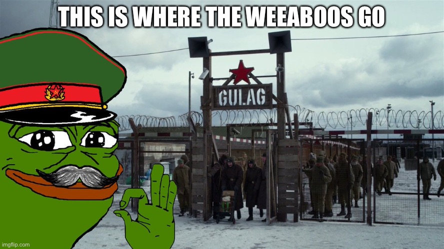 Stalin Gulag Pepe | THIS IS WHERE THE WEEABOOS GO | image tagged in stalin gulag pepe | made w/ Imgflip meme maker