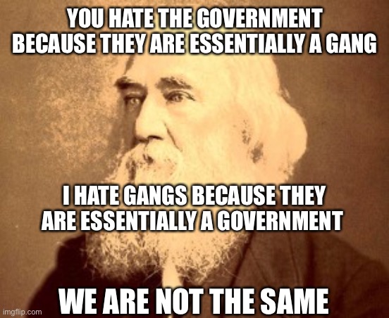 YOU HATE THE GOVERNMENT BECAUSE THEY ARE ESSENTIALLY A GANG; I HATE GANGS BECAUSE THEY ARE ESSENTIALLY A GOVERNMENT; WE ARE NOT THE SAME | image tagged in anarchy,liberty | made w/ Imgflip meme maker