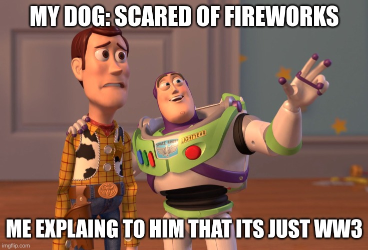 X, X Everywhere | MY DOG: SCARED OF FIREWORKS; ME EXPLAING TO HIM THAT ITS JUST WW3 | image tagged in memes,x x everywhere | made w/ Imgflip meme maker