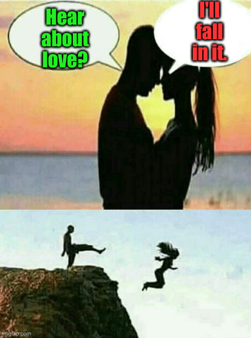 Romantic Cliff Couple | I'll fall in it. Hear about love? | image tagged in romantic cliff couple | made w/ Imgflip meme maker