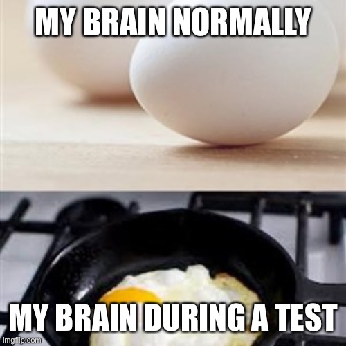 Accuracy | MY BRAIN NORMALLY; MY BRAIN DURING A TEST | image tagged in brain brain on drugs egg | made w/ Imgflip meme maker