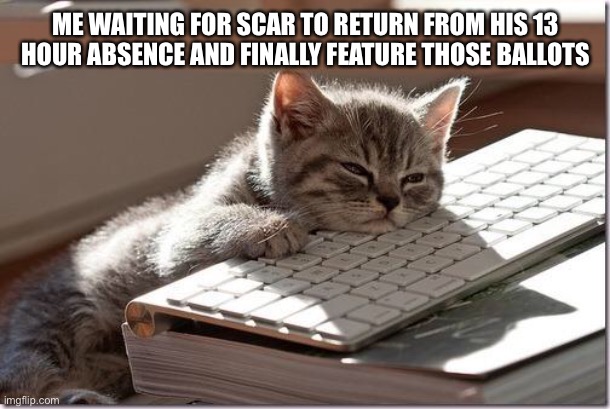 He should’ve got an unbiased counting assistant like Envoy did. | ME WAITING FOR SCAR TO RETURN FROM HIS 13 HOUR ABSENCE AND FINALLY FEATURE THOSE BALLOTS | image tagged in bored keyboard cat | made w/ Imgflip meme maker
