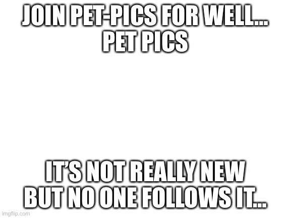 :) | JOIN PET-PICS FOR WELL…
PET PICS; IT’S NOT REALLY NEW BUT NO ONE FOLLOWS IT… | image tagged in blank white template | made w/ Imgflip meme maker