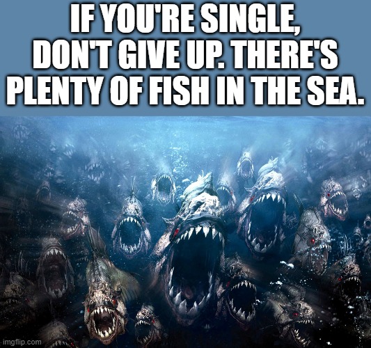 There's Plenty Of Fish In The Sea |  IF YOU'RE SINGLE, DON'T GIVE UP. THERE'S PLENTY OF FISH IN THE SEA. | image tagged in single,single life,fish,sea,funny,memes | made w/ Imgflip meme maker
