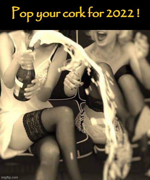 Pop ! | Pop your cork for 2022 ! | image tagged in 2022 | made w/ Imgflip meme maker