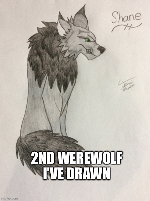 2ND WEREWOLF I’VE DRAWN | made w/ Imgflip meme maker