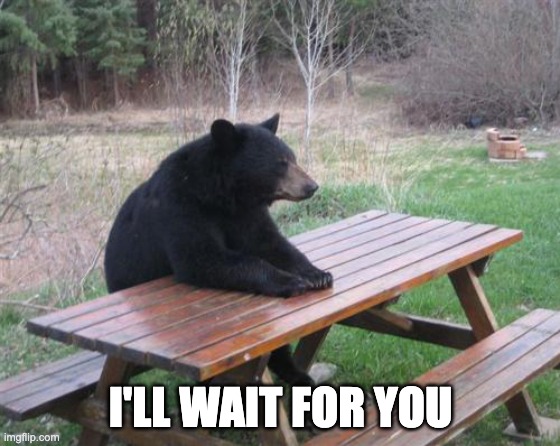 Waiting Patiently |  I'LL WAIT FOR YOU | image tagged in memes,bad luck bear,waiting,patience,impatience | made w/ Imgflip meme maker