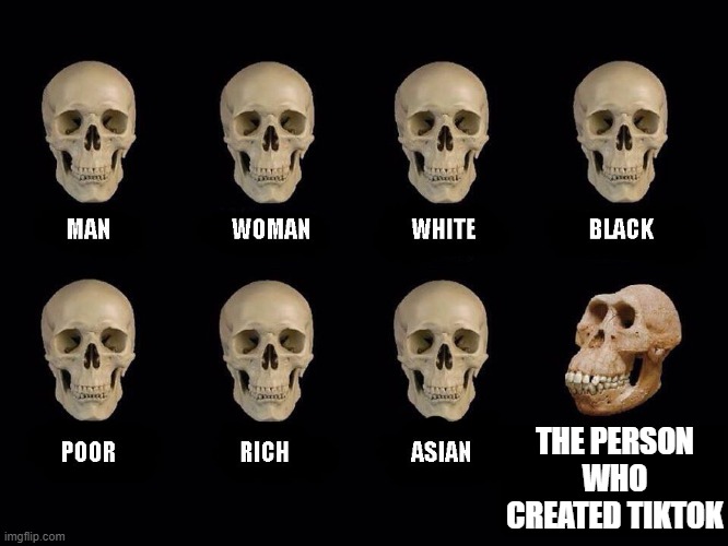 empty skulls of truth | THE PERSON WHO CREATED TIKTOK | image tagged in empty skulls of truth | made w/ Imgflip meme maker