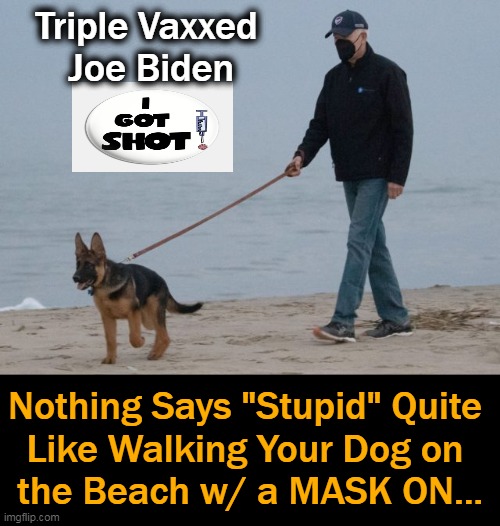 If Stupidity Was a Crime, Joe Would Be In Jail, Not In The White House.... | Triple Vaxxed 
Joe Biden; Nothing Says "Stupid" Quite 
Like Walking Your Dog on 
the Beach w/ a MASK ON... | image tagged in politics,joe biden,covid,mask,wtf,covid vaccine | made w/ Imgflip meme maker