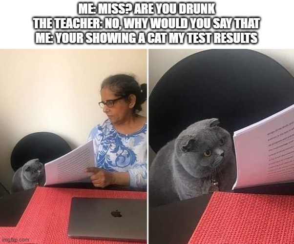 Woman showing paper to cat | ME: MISS? ARE YOU DRUNK
THE TEACHER: NO, WHY WOULD YOU SAY THAT
ME: YOUR SHOWING A CAT MY TEST RESULTS | image tagged in woman showing paper to cat | made w/ Imgflip meme maker
