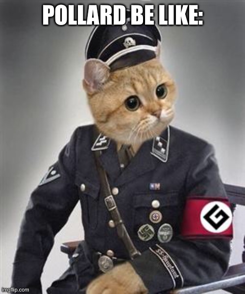 Grammar Nazi Cat | POLLARD BE LIKE: | image tagged in grammar nazi cat | made w/ Imgflip meme maker
