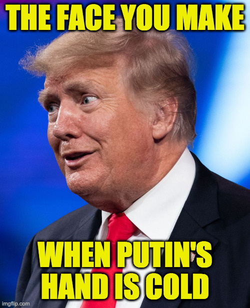 Putin's puppet. | THE FACE YOU MAKE; WHEN PUTIN'S HAND IS COLD | image tagged in memes,the face you make,putin's puppet,cold as ice | made w/ Imgflip meme maker
