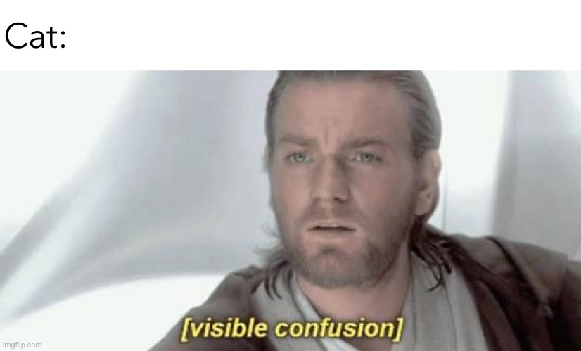 Visible Confusion | Cat: | image tagged in visible confusion | made w/ Imgflip meme maker