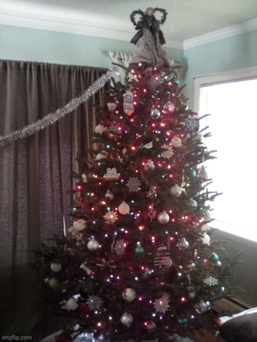 Sorry it is so late | image tagged in my tree | made w/ Imgflip meme maker