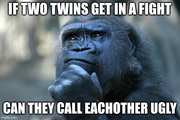 ? | IF TWO TWINS GET IN A FIGHT; CAN THEY CALL EACHOTHER UGLY | image tagged in deep thoughts | made w/ Imgflip meme maker