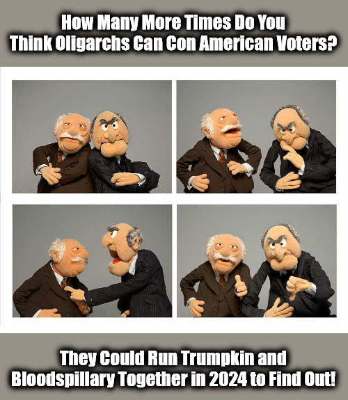 Oligarchy Democracy | image tagged in statler and waldorf,trump,hillary,evidence violates community guidelines,thumbs up,thumbs down | made w/ Imgflip meme maker