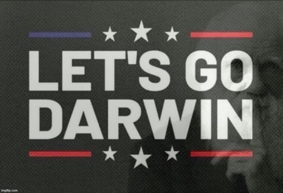 - Let's Go Darwin! - | image tagged in let s go darwin,lets,go,darwin,darwin award,lgd | made w/ Imgflip meme maker