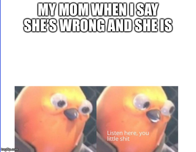 Listen here you little shit | MY MOM WHEN I SAY SHE’S WRONG AND SHE IS | image tagged in listen here you little shit | made w/ Imgflip meme maker