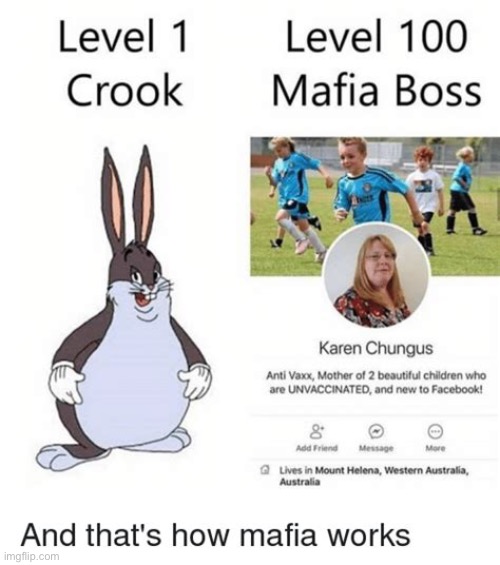 image tagged in big chungus,omg karen,funny memes,oh wow are you actually reading these tags,thats how mafia works | made w/ Imgflip meme maker