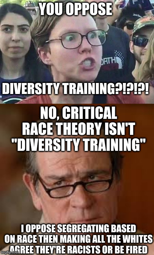 Diversity Training is acceptance and unity.  CRT is division and hate. | YOU OPPOSE; DIVERSITY TRAINING?!?!?! NO, CRITICAL RACE THEORY ISN'T "DIVERSITY TRAINING"; I OPPOSE SEGREGATING BASED ON RACE THEN MAKING ALL THE WHITES AGREE THEY'RE RACISTS OR BE FIRED | image tagged in triggered liberal,my face when someone asks a stupid question,crt | made w/ Imgflip meme maker