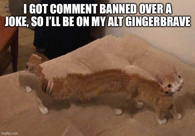 Kedrei face reveal | I GOT COMMENT BANNED OVER A JOKE, SO I’LL BE ON MY ALT GINGERBRAVE | image tagged in kedrei face reveal | made w/ Imgflip meme maker