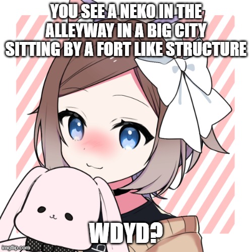 POV | YOU SEE A NEKO IN THE ALLEYWAY IN A BIG CITY SITTING BY A FORT LIKE STRUCTURE; WDYD? | made w/ Imgflip meme maker