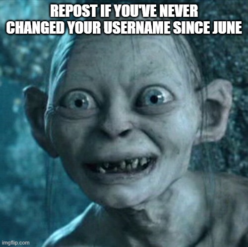 Gollum | REPOST IF YOU'VE NEVER CHANGED YOUR USERNAME SINCE JUNE | image tagged in memes,gollum | made w/ Imgflip meme maker