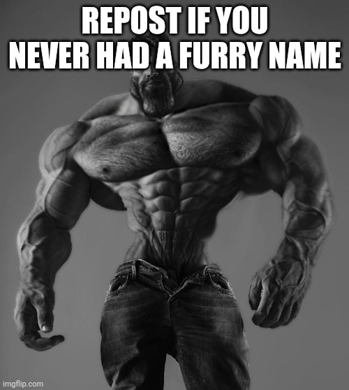 GigaChad | REPOST IF YOU NEVER HAD A FURRY NAME | image tagged in gigachad | made w/ Imgflip meme maker