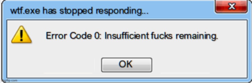 WTF.exe Windows Error | image tagged in windows,error,wtf,zero fucks given,zero fucks,windows error message | made w/ Imgflip meme maker