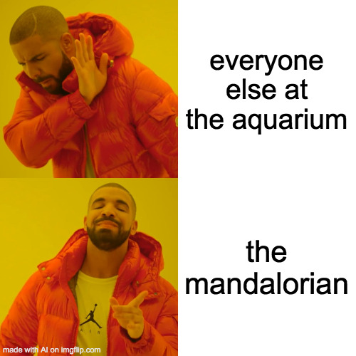 ai iq -1000000 confirmed | everyone else at the aquarium; the mandalorian | image tagged in memes,drake hotline bling | made w/ Imgflip meme maker