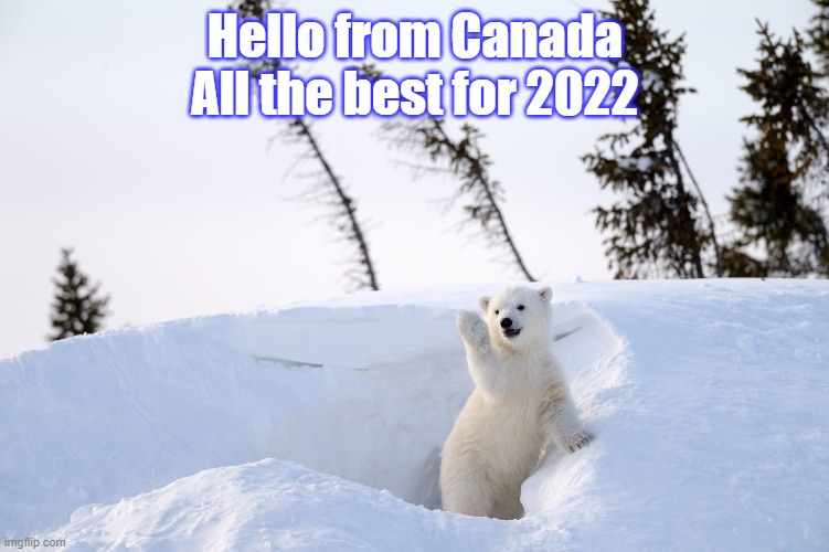 Hello from Canada | Hello from Canada
All the best for 2022 | image tagged in new years 2022,canada | made w/ Imgflip meme maker