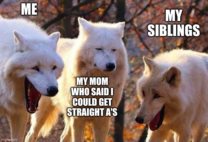 Wolf | ME; MY SIBLINGS; MY MOM WHO SAID I COULD GET STRAIGHT A'S | image tagged in laughing wolf | made w/ Imgflip meme maker