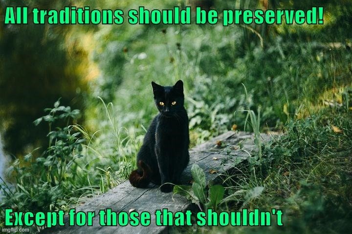 This #lolcat wonders if people really want all traditions to be preserved | image tagged in lolcat,traditions,think about it | made w/ Imgflip meme maker